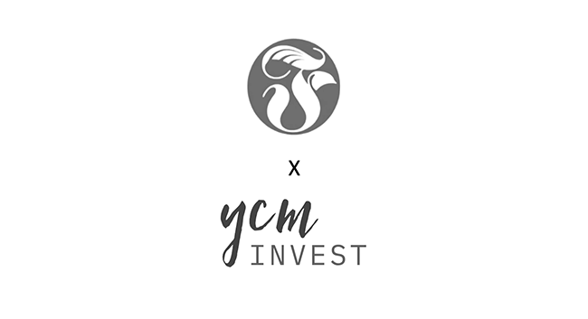 Falcon investment management and ycm invest