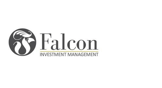 Falcon investment Management